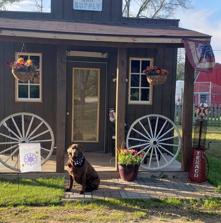 213739910 111755714510883 5131742555270430457 n 768x774