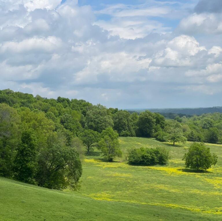 301721568 420297186871710 3695212600391864848 n 768x766